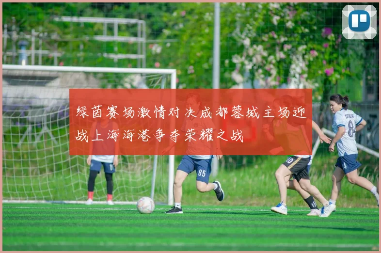 绿茵赛场激情对决成都蓉城主场迎战上海海港争夺荣耀之战