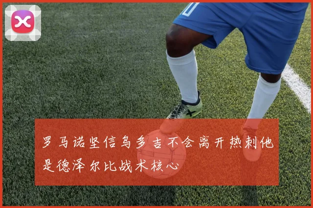 罗马诺坚信乌多吉不会离开热刺他是德泽尔比战术核心